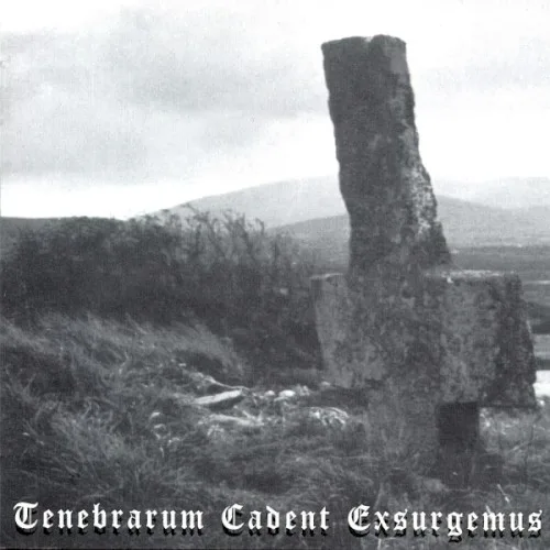 Pochette de Tenebrarum Cadent Exsurgemus