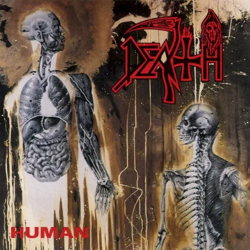 Pochette de Human