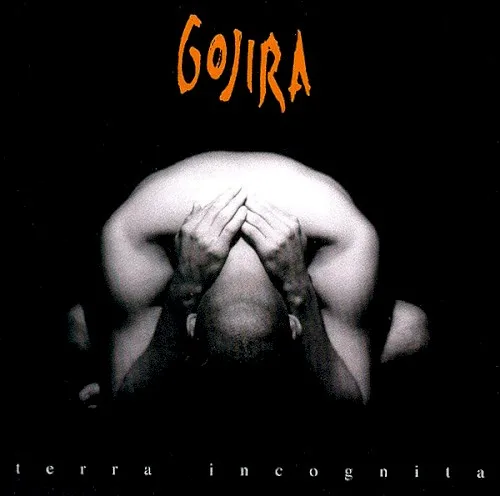 Pochette de Terra incognita