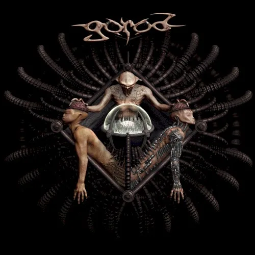 Pochette de Leading Vision