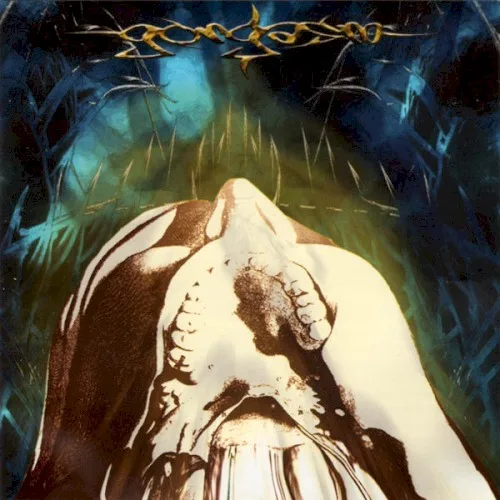 Pochette de Neurotripsicks