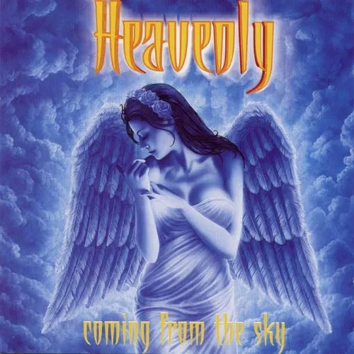 Pochette de Coming From the Sky