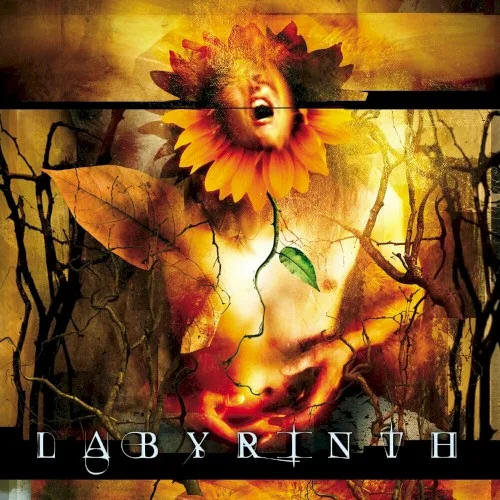 Pochette de Labyrinth