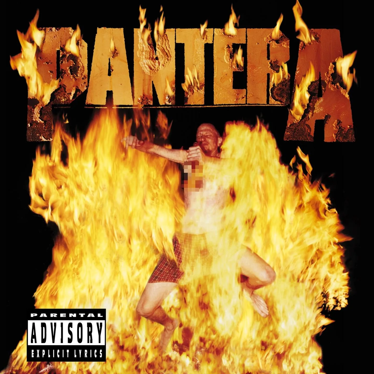 Pochette de Reinventing the Steel