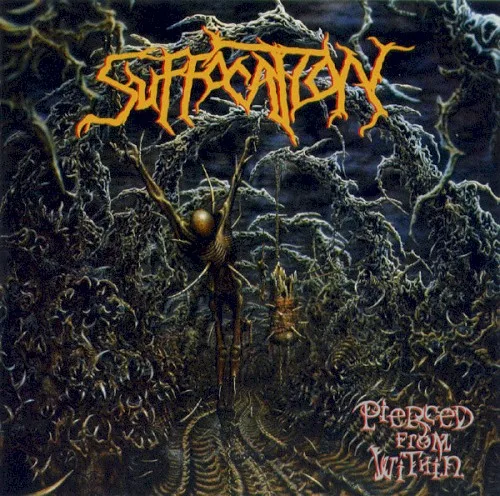 Pochette de Pierced From Within