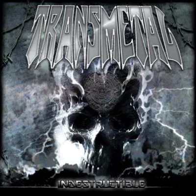 Pochette de Indestructible